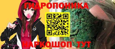 соль ск Славгород