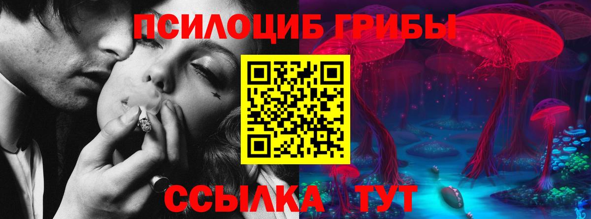 Псилоцибиновые грибы GOLDEN TEACHER Ханты-Мансийск